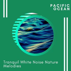 Nature Small Birds Sound