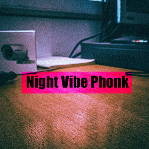 Night Vibe Phonk