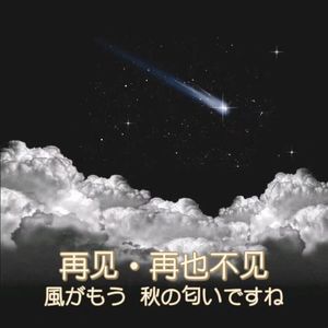 逃跑计划-夜空中最亮的星(Remix)