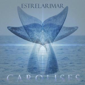 Tu Tesoro (feat. Anibal)