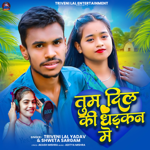 Tum Dil Ke Dharkan Me