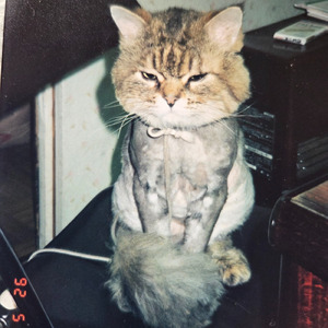 あまおとダンス (feat. スミーキラー) [ばーじょんぜろ]