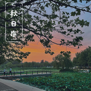 秋日序(Fall in Love)