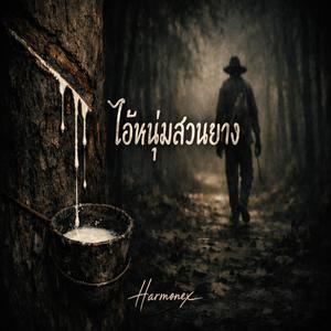 ไอ้หนุ่มสวนยาง