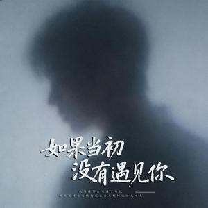 如果当初没有遇见你 (伴奏)