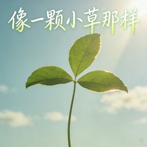 像一颗小草那样