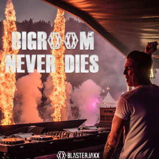 BIGROOM NEVER DIES