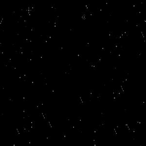 stargaze