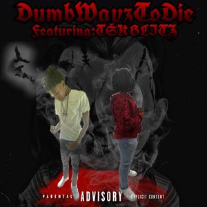 DumbWayzToDie Pt. 2 (feat. TŠKBLITZ_)