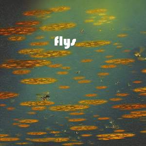 Flys