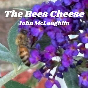 Where's My Ronson Lighter?