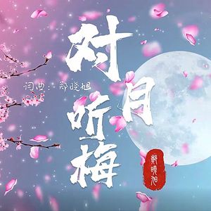 对月听梅