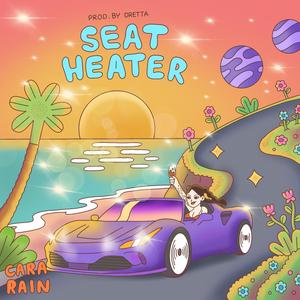 Seat Heater
