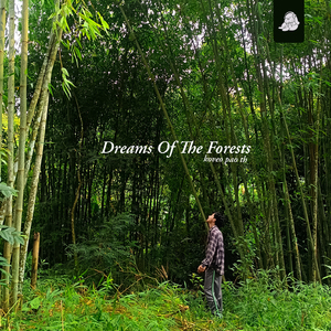 Dreams of the Forests