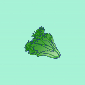 Alface