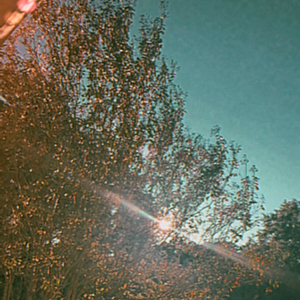 never let go (feat. everestdidthis)