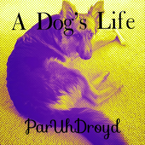 A Dog's Life