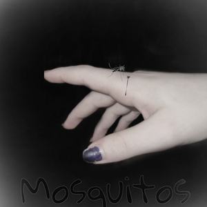 Mosquitos