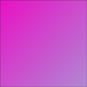 SWEATSHIRT (Cover)