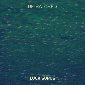 Blackbird / Bird Lime