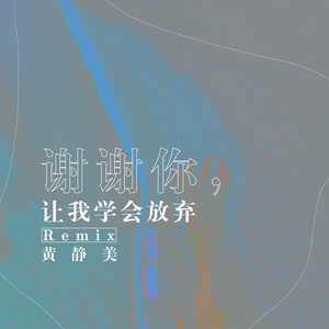 谢谢你，让我学会放弃 (Remix)