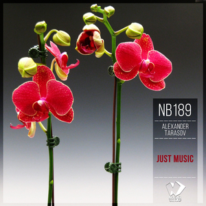 Just Music (Original Mix)