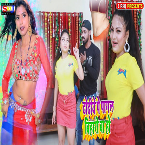 Dhhodiye Pe Pagal Bihari Ba Ho