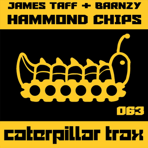 Hammond Chips (Original Mix)