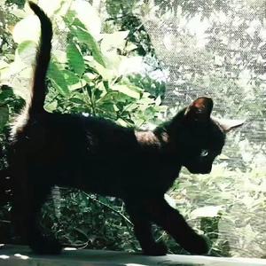 回头却没有羽季(prod.by Morrow)