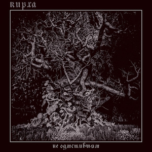 тој кторы плаче