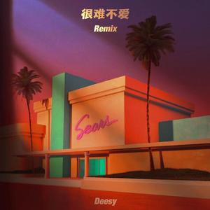 很难不爱（Deesy remix）