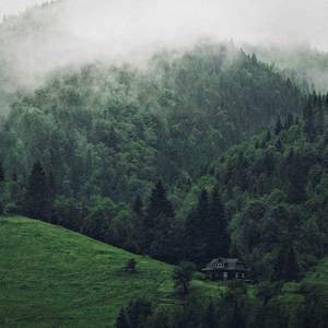 Isolation