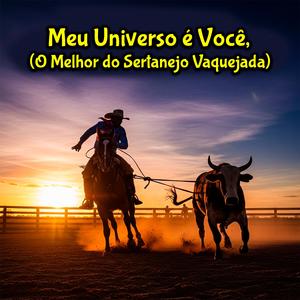 Quando Te Vejo, o Mundo Para, O Melhor do Sertanejo Vaquejada
