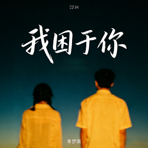 我困于你