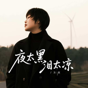 夜太黑泪太凉 (DJ彭锐版伴奏)