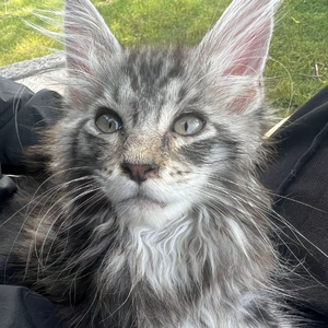 音乐才是荒芜人生的解药