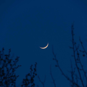 姑娘（cover隔壁老樊）（翻自 隔壁老樊）