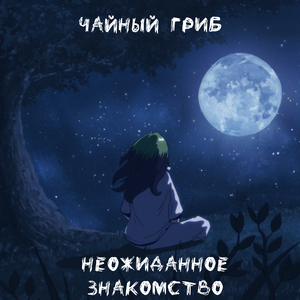 Неожиданное знакомство