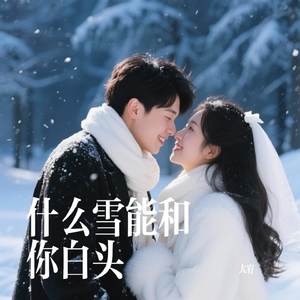 什么雪能和你白头