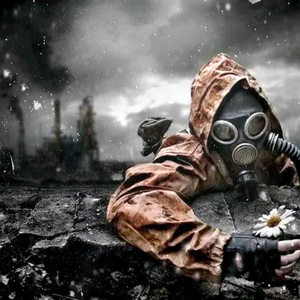 El sudor de los cerdos