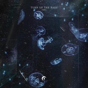TURN UP THE BASS