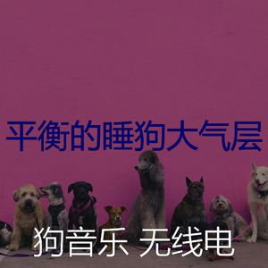 柔和的可爱的狗时刻