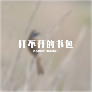 打不开的书包2