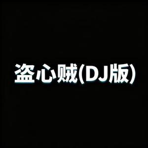 盗心贼 (DJ版) (Remix)