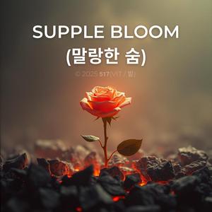 Supple Bloom (말랑한 숨)