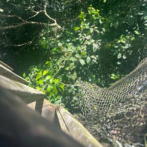 Victory (feat. Units)