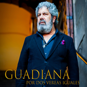 Tú No Tienes la Culpa (Seguirillas)