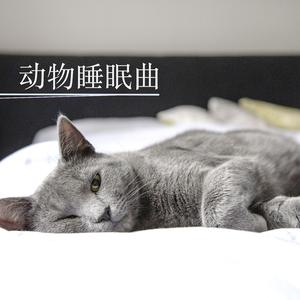 狗狗睡眠曲