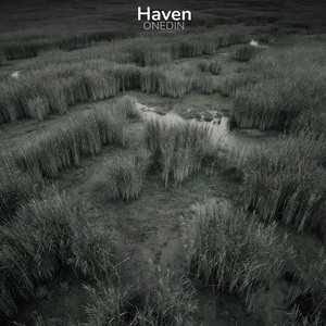 Haven