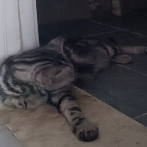 8月4日 下午4点04分_3